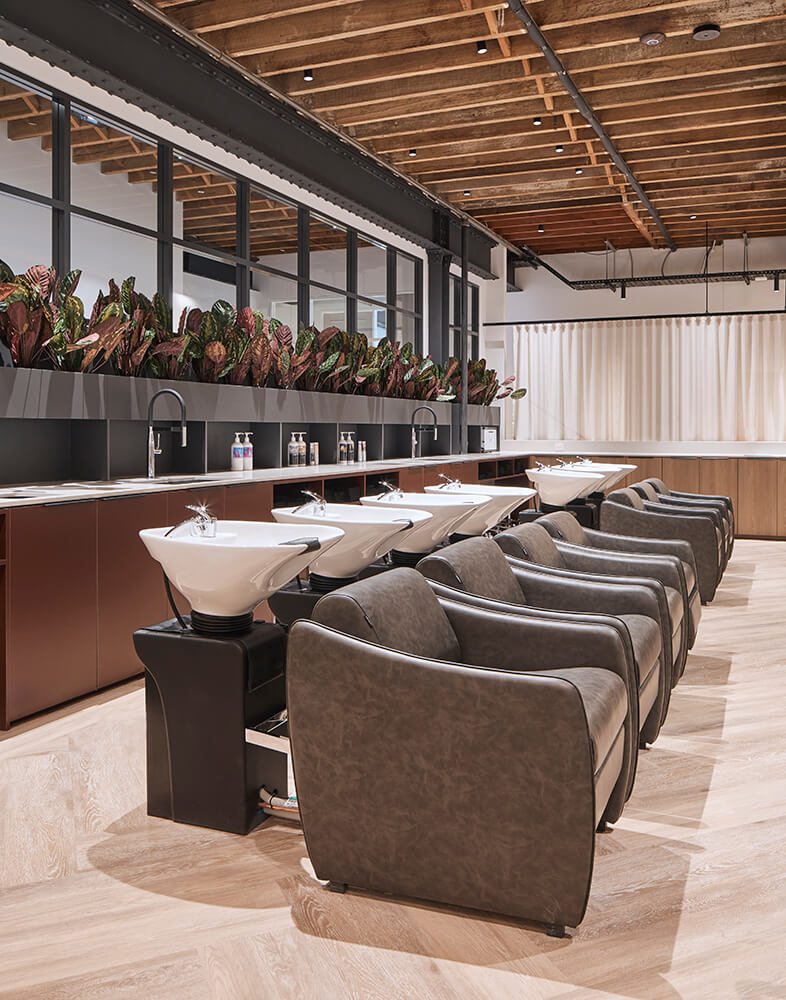 IMG1348_SalonLane_S08_288final (1)